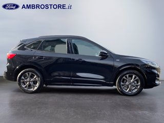 FORD Kuga 2.5 full hybrid st-line 2wd 190cv cvt
