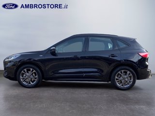 FORD Kuga 2.5 full hybrid st-line 2wd 190cv cvt