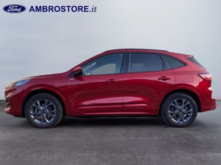 FORD Kuga 2.5 phev st-line 2wd 225cv cvt