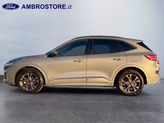 FORD Kuga 2.5 full hybrid st-line 2wd 190cv cvt