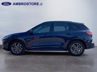 FORD Kuga 2.5 full hybrid st-line 2wd 190cv cvt