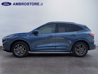 FORD Kuga 2.5 full hybrid st-line x awd 190cv cvt