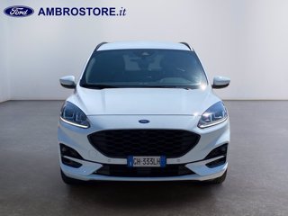 FORD Kuga 1.5 ecoblue st-line 2wd 120cv
