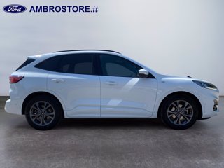 FORD Kuga 1.5 ecoblue st-line 2wd 120cv