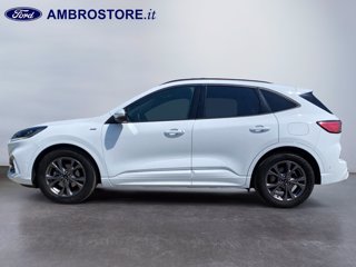 FORD Kuga 1.5 ecoblue st-line 2wd 120cv