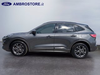 FORD Kuga 2.5 full hybrid st-line 2wd 190cv cvt