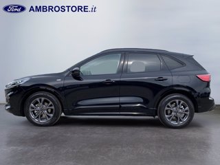 FORD Kuga 2.5 full hybrid st-line 2wd 190cv cvt