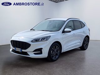 FORD Kuga 2.0 ecoblue st-line x design 2wd 120cv auto