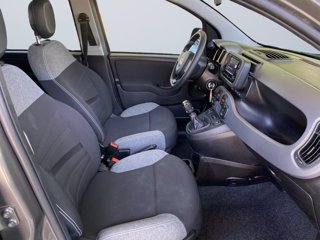 FIAT Panda 1.0 firefly hybrid city life s&s 70cv 5p.ti