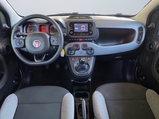 FIAT Panda 1.0 firefly hybrid city life s&s 70cv 5p.ti