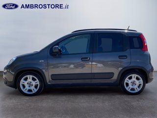 FIAT Panda 1.0 firefly hybrid city life s&s 70cv 5p.ti
