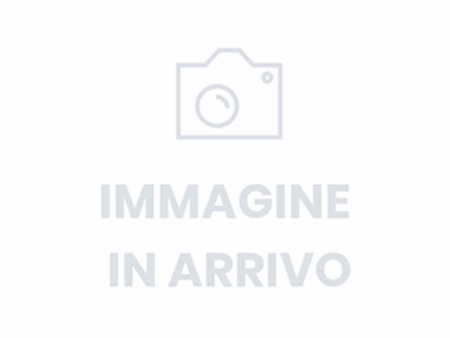Sede Milano Ford Ambrostore Forlanini