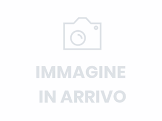 FORD Explorer ev 52kwh standard range rwd