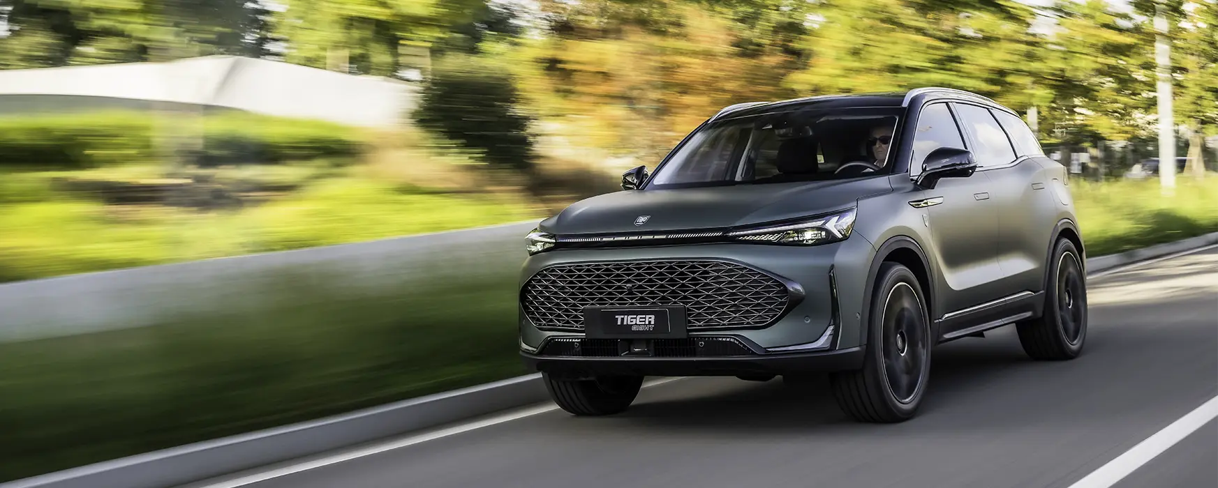 Tiger Eight Ambrostore Milano Concessionario Promozione Banner