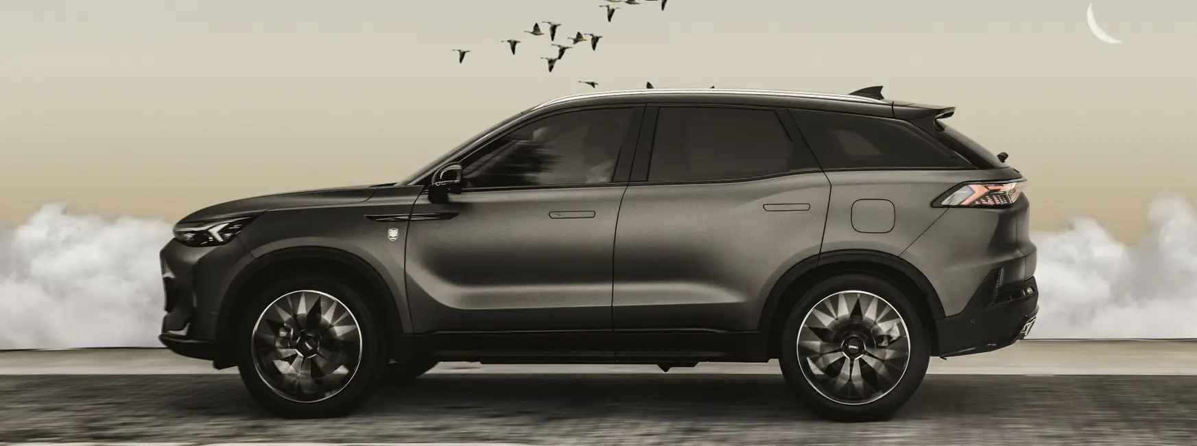 Ambrostore Tiger Eight Banner Home Page Milano Auto Gamma