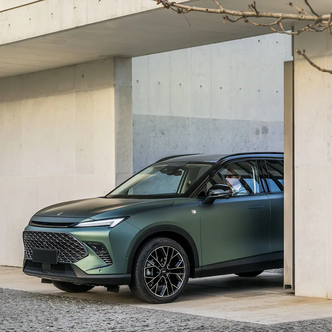 Tiger Six Ambrostore Gallery Gamma Ambrostore Auto 2