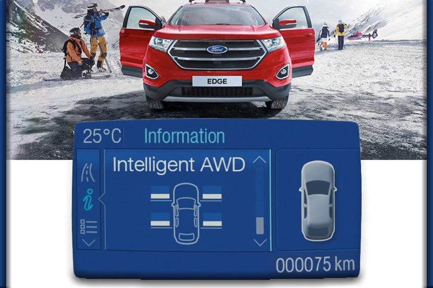 Intelligent All Whell Ford Ambrostore