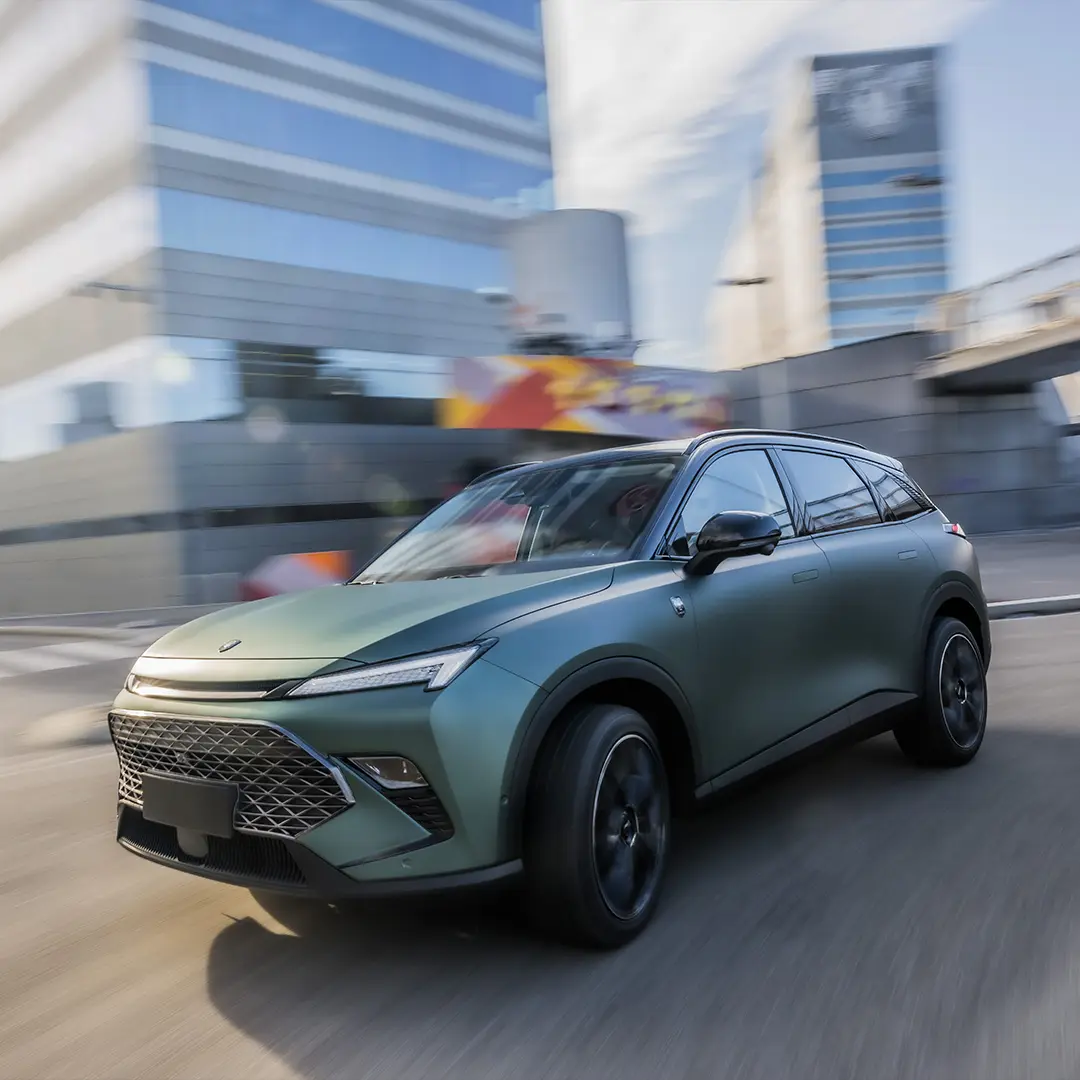 Tiger Six Ambrostore Gallery Gamma Ambrostore Auto 5