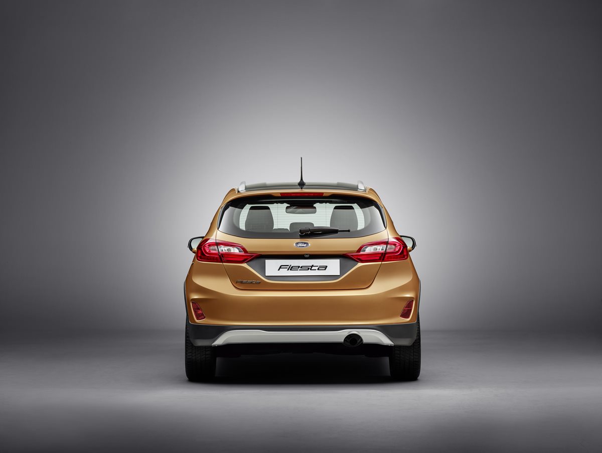 FORD FIESTA2016 ACTIVE REAR 11