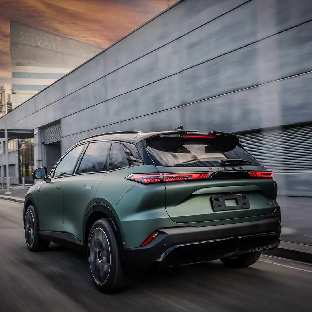 Tiger Six Ambrostore Gallery Gamma Ambrostore Auto 4